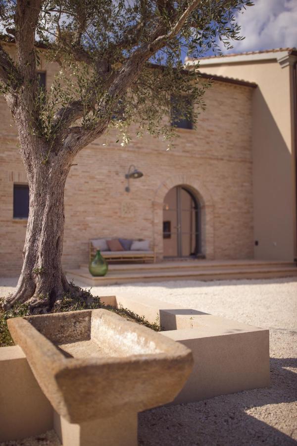 Bed and Breakfast Casale Tre Gelsi Cingoli Esterno foto