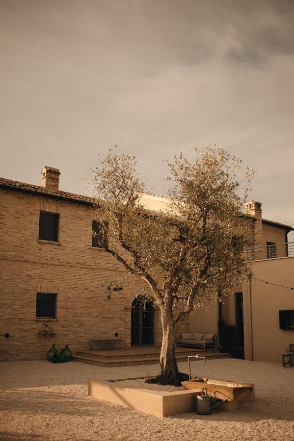 Bed and Breakfast Casale Tre Gelsi Cingoli Esterno foto